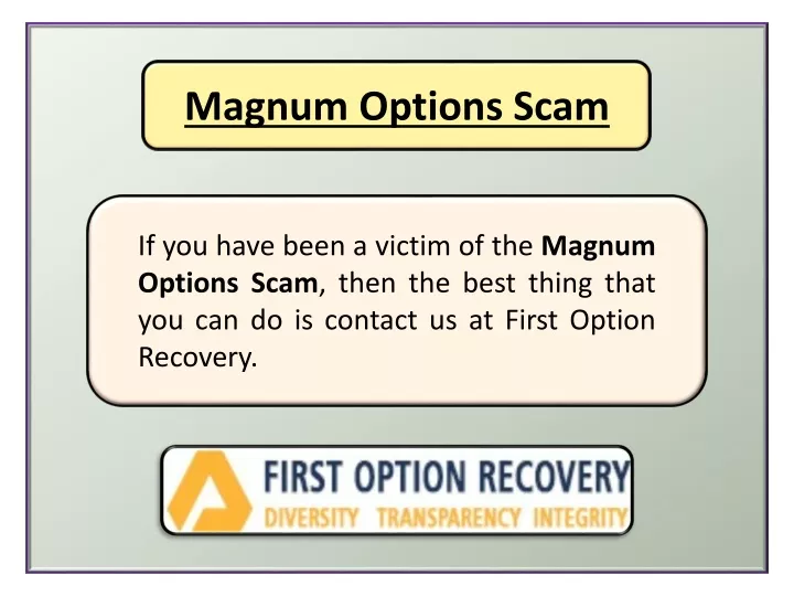 magnum options scam