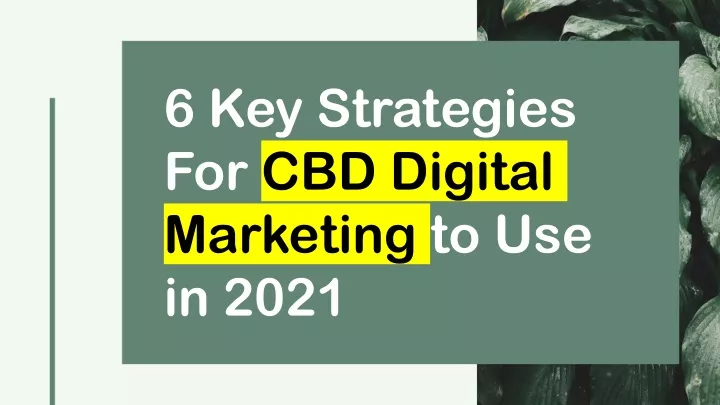 6 key strategies for cbd digital marketing