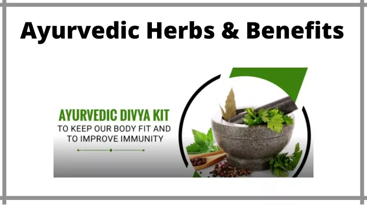 ayurvedic herbs benefits
