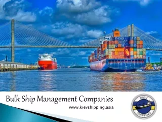 bulk ship management companies