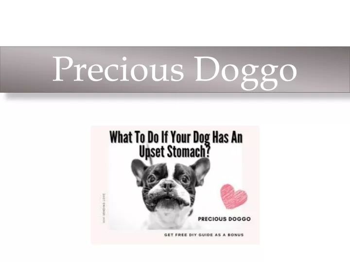 precious doggo