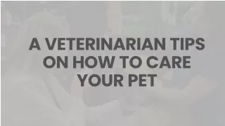 a veterinarian tips on how to care your pet