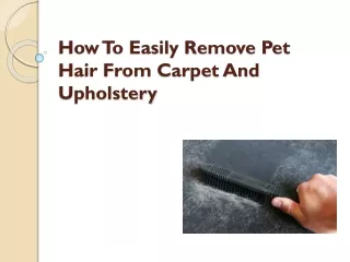 how to easily remove pet hair from carpet and upholstery