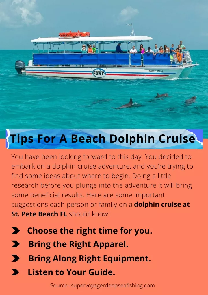tips for a beach dolphin cruise