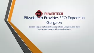 piiwebtech provides seo experts in gurgaon