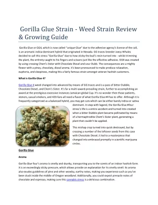 gorilla glue strain weed strain review growing