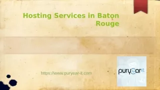 Hosting Services in Baton Rouge