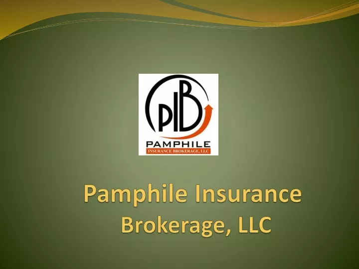 pamphile insurance brokerage llc