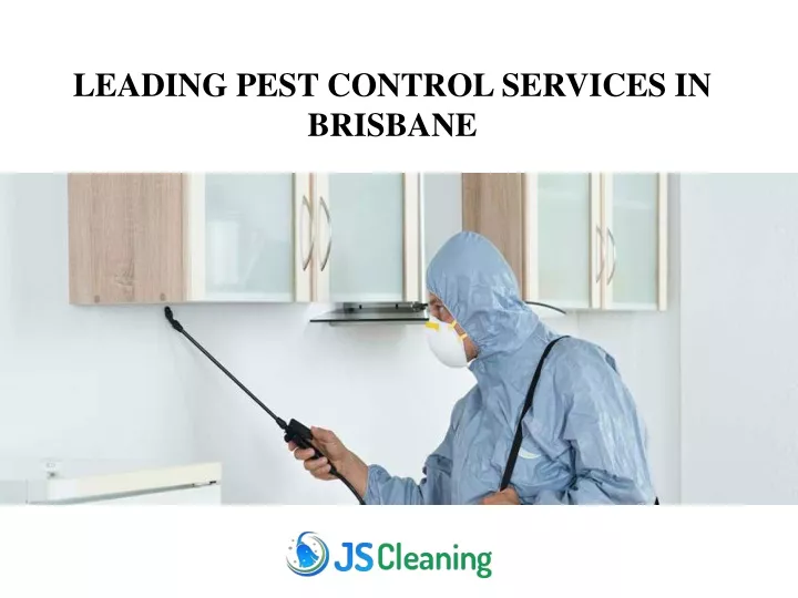 leading pest control services in brisbane