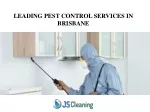 Leading Pest Control Services in Brisbane - slide 1