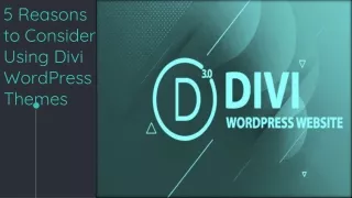 5 Reasons to Consider Using Divi WordPress Themes