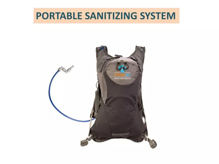 portable sanitizing system