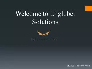 Welcome to Li Global Solution