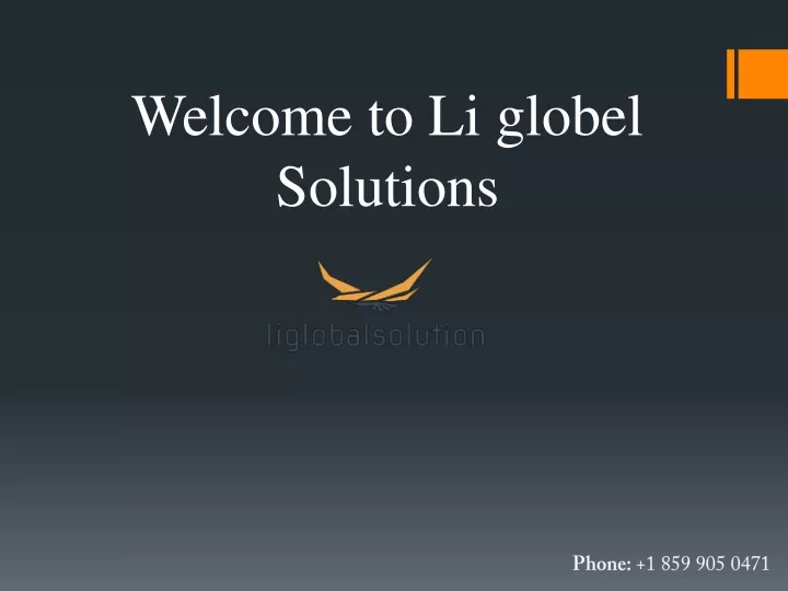 welcome to li globel solutions