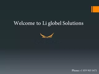 Welcome to Li Global Solution