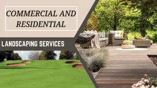 Landscaping Services To Improve Your Home