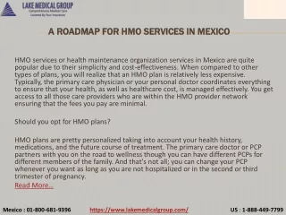 a roadmap for hmo services in mexico