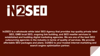 in2seo is a wholesale white label seo agency that