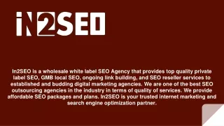 in2seo is a wholesale white label seo agency that