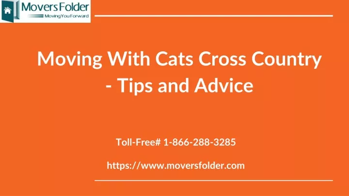 moving with cats cross country tips and advice