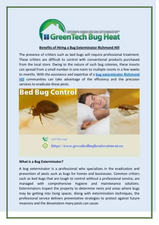 Benefits of Hiring a Bug Exterminator Richmond Hill