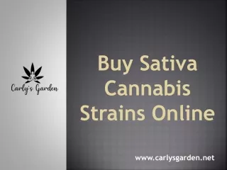 Buy Sativa Cannabis Strains Online - Carly's Garden