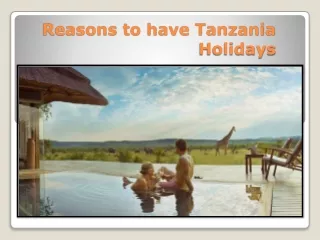 Reasons to have Tanzania Holidays