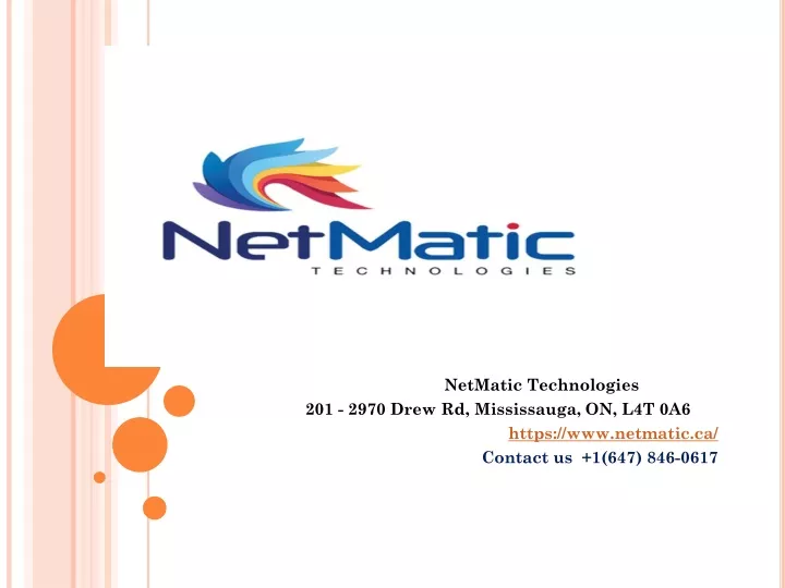 netmatic technologies 201 2970 drew