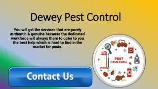 Dewey pest control protects your property from pests