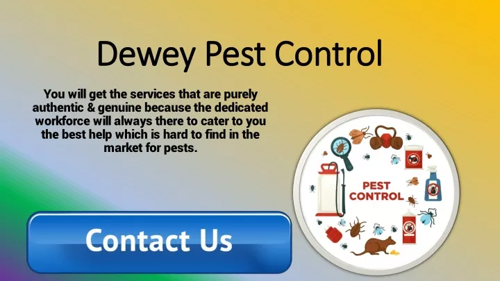 dewey pest control
