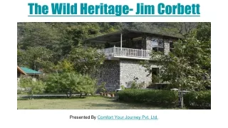 Best Riverside Resort in Jim Corbett | The Wild Heritage Resort Jim Corbett