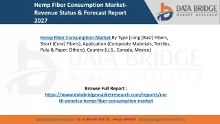 Hemp Fiber Consumption Market