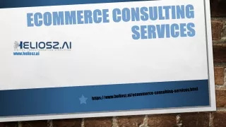 Ecommerce Consulting Services