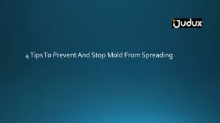 4 tips to prevent and stop mold from spreading