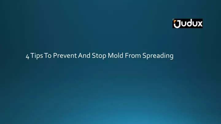 4 tips to prevent and stop mold from spreading