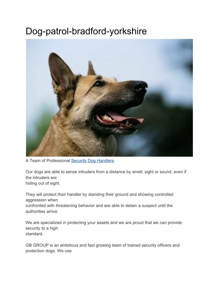 dog patrol bradford yorkshire