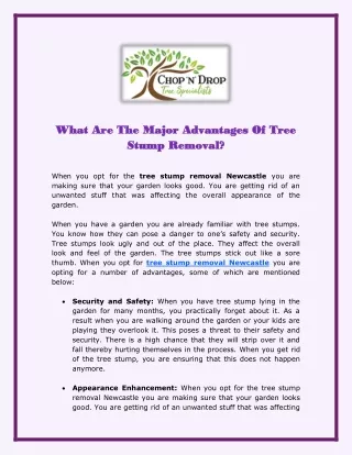 what what are the are the major advantages major
