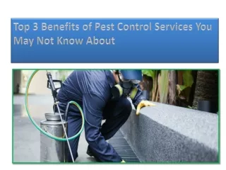 Top 3 Benefits of Pest Control Services You May Not Know About