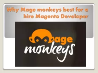 Why Magemonkeys best for a hire Magento Developer