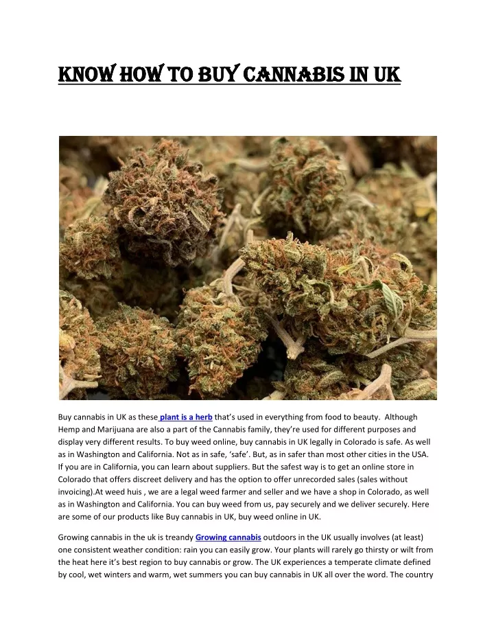 know how to buy cannabis in uk know