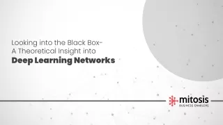 Looking into the Black Box - A Theoretical Insight into Deep Learning Networks