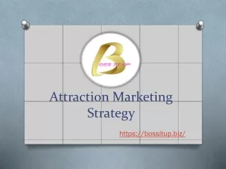 Attraction Marketing Strategy