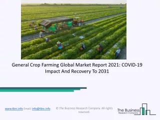 general crop farming global market report 2021