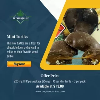 Mini Turtles – 225mg