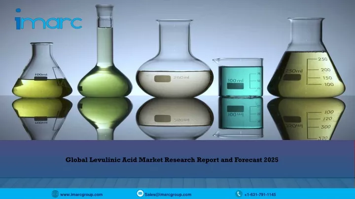 global levulinic acid market research report