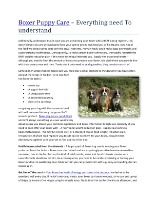 boxer puppy care everything need to understand