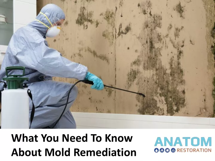 what you need to know about mold remediation