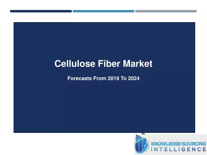cellulose fiber market forecasts from 2019 to 2024
