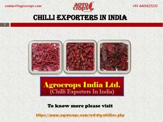 chilli exporters in india