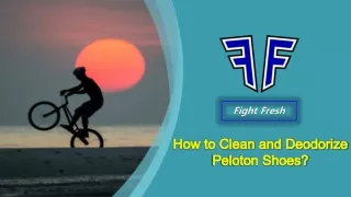 fight fresh